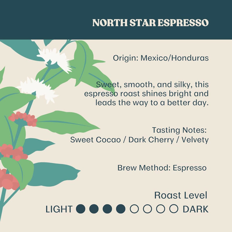 An organic illustration of a coffee plant with red cherries and white flowers highlights Equator Coffee Roasters North Star Espresso. Origin: Mexico/Honduras, offering notes of sweet cocoa and dark cherry with a velvety texture. Ideal for espresso; medium-dark roast.