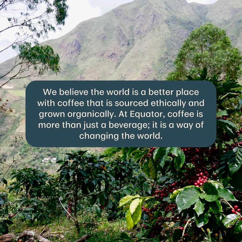 A hillside coffee plantation blooms with red cherries, framed by green mountains under a cloudy sky. Text highlights Equator Coffee Roasters' commitment to ethical sourcing and Fair Trade, ensuring their Freakin’ Good Coffee Bean (908g / 2lb) is the finest organic choice for enthusiasts.