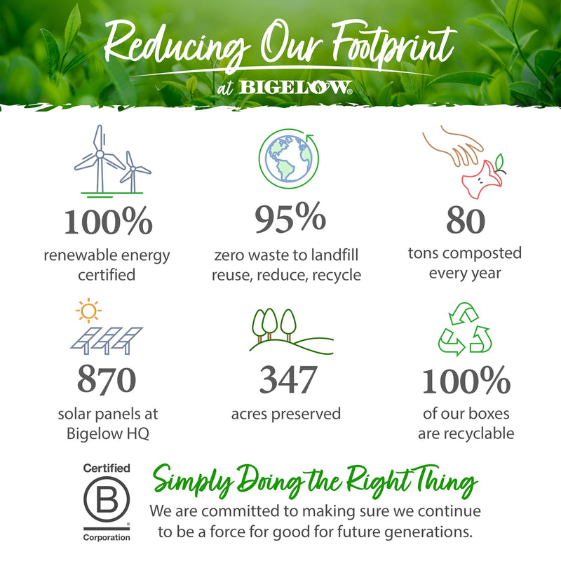 An infographic titled "Reducing Our Footprint at Bigelow" highlights various environmental achievements: 100% renewable energy, 95% zero waste to landfill, 80 tons composted annually, 870 solar panels, 347 acres preserved, and 100% recyclable boxes. The Certified B Corporation logo is proudly displayed. Enjoy a perfect blend of sustainability and flavor with our Bigelow Jasmine Green Tea Bags.